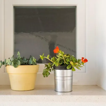 Dinka With Terrace *